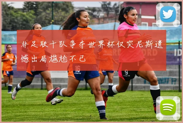非足联十队争夺世界杯仅突尼斯遗憾出局尴尬不已